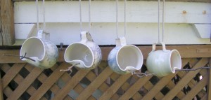 MINOLTA DIGITAL CAMERA